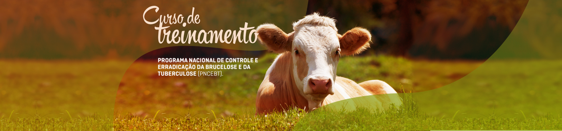 Curso de Treinamento PNCEBT